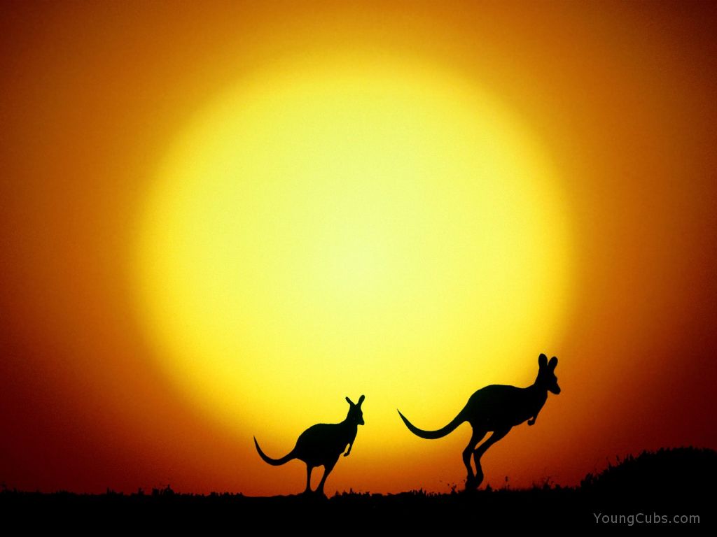 The Kangaroo Hop, Australia